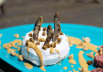 dog birthday cake recipe
