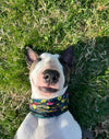 Dog laying in the grass wearing a Pup Scruff 