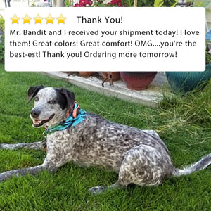 Five star review happy customer