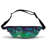 northern lights fanny pack