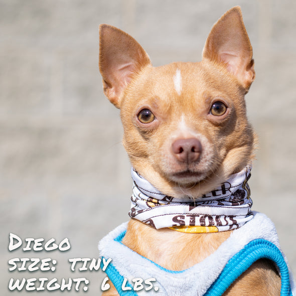 beer buddy pup scruff dog bandana