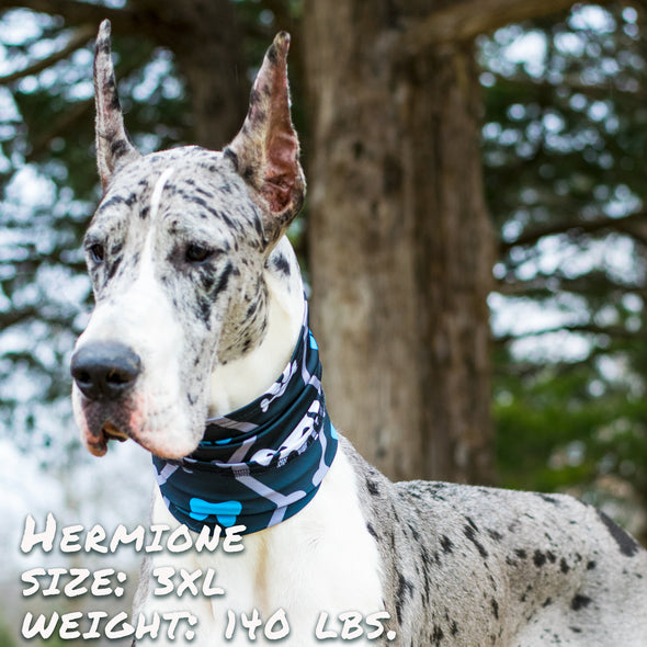 skull and bones dog bandana pup scruff