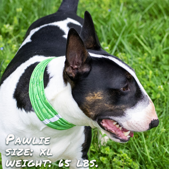 Drops of LIME Pup Scruff dog bandana