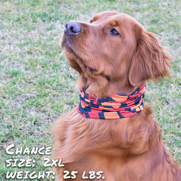 Leopawd Skin Pup Scruff dog bandana
