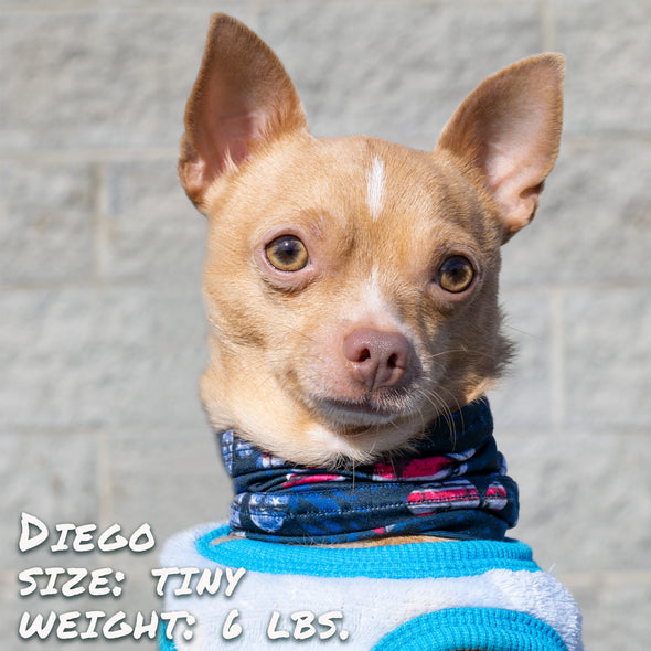 patriotic pup pup scruff dog bandana