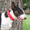 Puppy Love Pup Scruff dog bandana