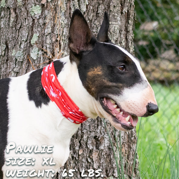 Puppy Love Pup Scruff dog bandana