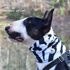 zebra print dog bandana