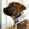 beer buddy pup scruff dog bandana