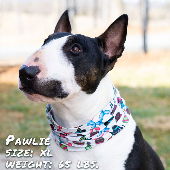 birthday pawty pup scruff dog bandana