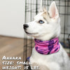 bone camo pink pup scruff dog bandana