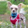 buffalo plaid blue pup scruff dog bandana