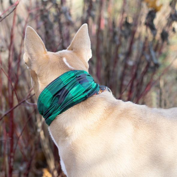 buffalo plaid green pup scruff dog bandana