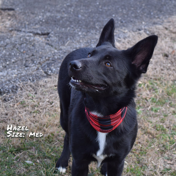 Buffalo Plaid red Pup Scruff dog bandana