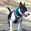 buffalo plaid green pup scruff dog bandana