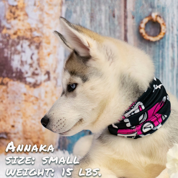 day of the dog pink pup scruff dog bandana