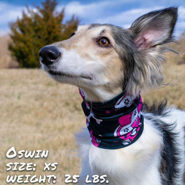 day of the dog pink pup scruff dog bandana