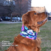 peacock splash pup scruff dog bandana