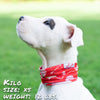 Puppy Love Pup Scruff dog bandana