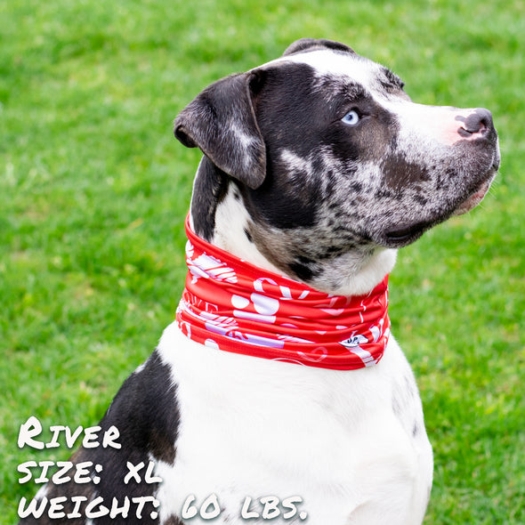 Puppy Love Pup Scruff dog bandana