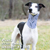 stainless steel pup scruff dog bandana