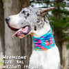 the wanderer dog bandana