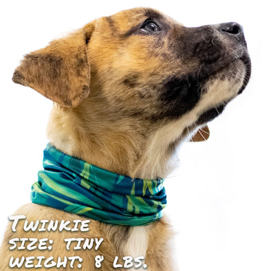 tropupcal pup scruff dog bandana